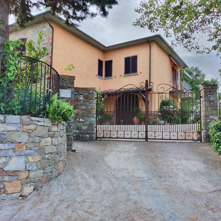 B&B L'Oliveto ルチニャーノ エクステリア 写真
