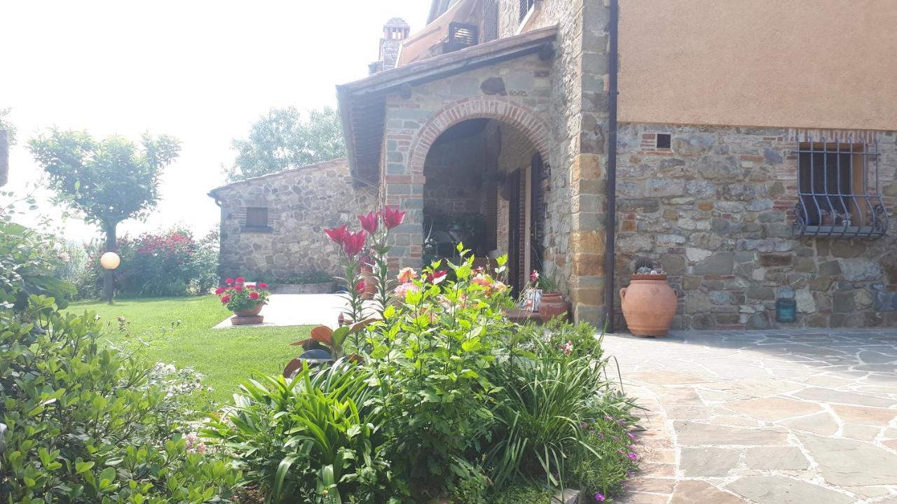 B&B L'Oliveto ルチニャーノ エクステリア 写真