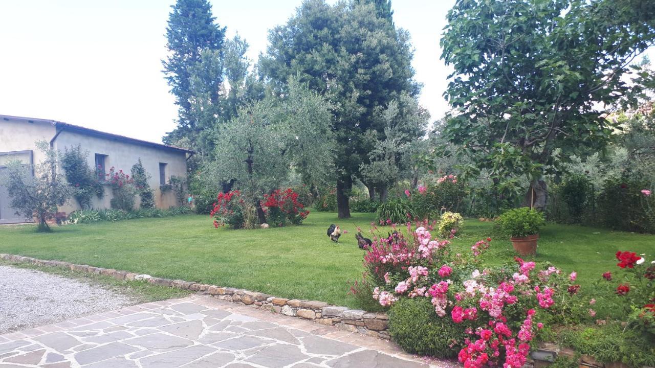 B&B L'Oliveto ルチニャーノ エクステリア 写真